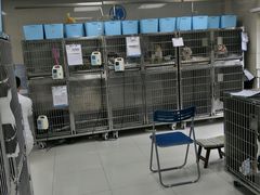 -申普宠物医院·心脏介入·心血管微创(总院)