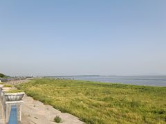 -合肥滨湖国家森林公园