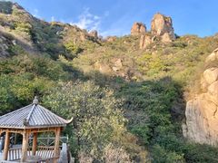 -大岭沟猕猴桃谷风景区