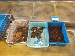-天桥饭店·特色海鲜(金山嘴渔村店)
