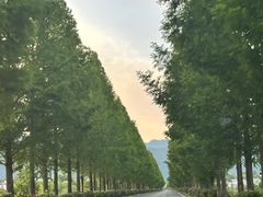 -黟县屏山村
