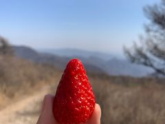 -妙峰山风景名胜区