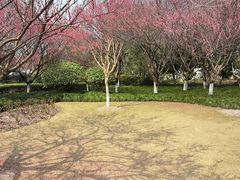 -杭州城北体育公园