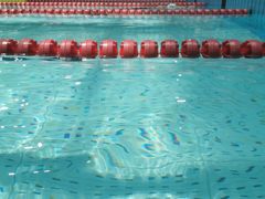 -重庆市奥林匹克体育中心-游泳跳水馆