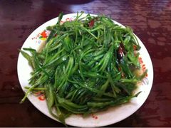 iphone_upload_pic-苍洱春饭店