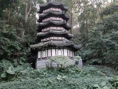 -深圳国际园林花卉博览园