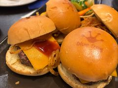 -bluefrog蓝蛙(皇庭广场店)