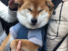 -哈尔滨犹太人活动旧址群(秋林洋行道里分行旧址)