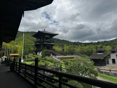 -大唐贡茶院