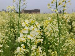 -中国天府农业博览园