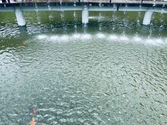-南湾湖