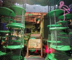 -恐龙探索乐园(磁器口店)