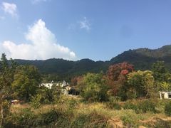 -塔川景区