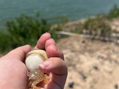 -启东黄金海滩景区