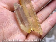 -华仔龙虾(永乐路总店)