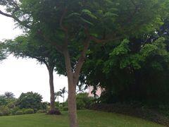 -厦门悦华酒店