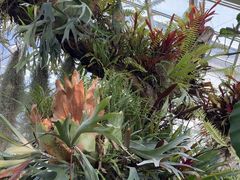 -国家植物园南园