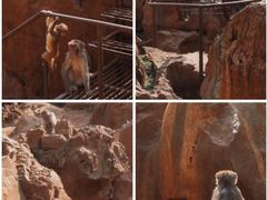 -昆明动物园