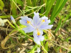 -昆山城市生态森林公园