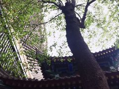 -罔极寺