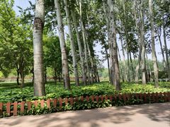 -仁和公园(顺义区)