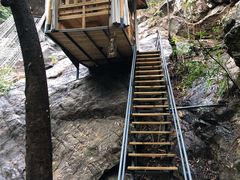 -天门沟九州驿站树上汤泉