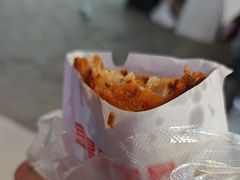 -半月镰胡姐脆皮萝卜饺子