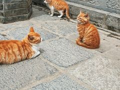 -终南山南五台景区