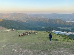 -大姆山草场