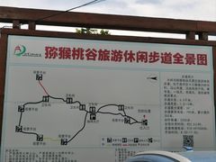 -大岭沟猕猴桃谷风景区