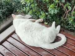 -北极阁公园