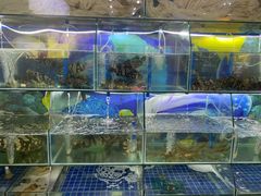 -刘记糟粕醋海鲜烧烤