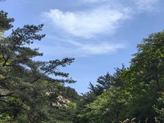 -无染寺