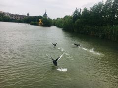 -南通濠河风景名胜区