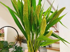 -森野花艺培训·企业团建活动沙龙