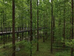 -黄海国家森林公园