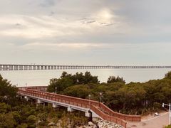 -宝安西湾红树林湿地公园