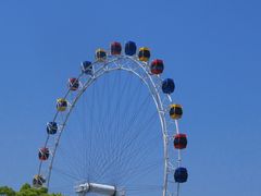 -上海野生动物园