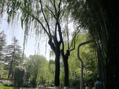 -西安市长乐公园
