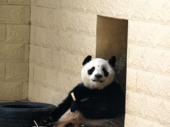 -石家庄市动物园