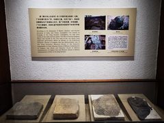 -南越王博物院(王宫展区)