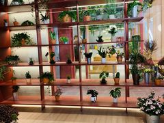 -二酉书店TOYOU BOOKS