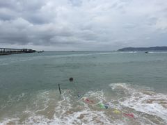iphone_upload_pic-亚龙湾海底世界