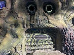 -泉城欧乐堡海洋极地世界
