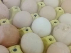 -金宝生活市场(东五环店)