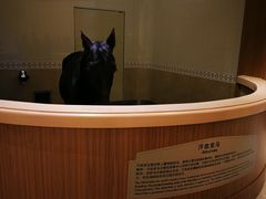 -桃园山庄(海澜飞马水城店)