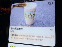 -猫的魔法密林(衣裳街店)