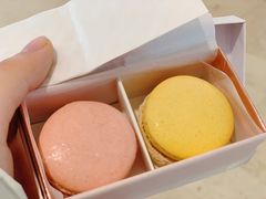 -Pierre Marcolini(德基广场店)