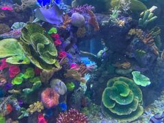 -成都浩海立方海洋公园