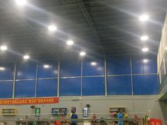 -翔龙双鱼篮球馆